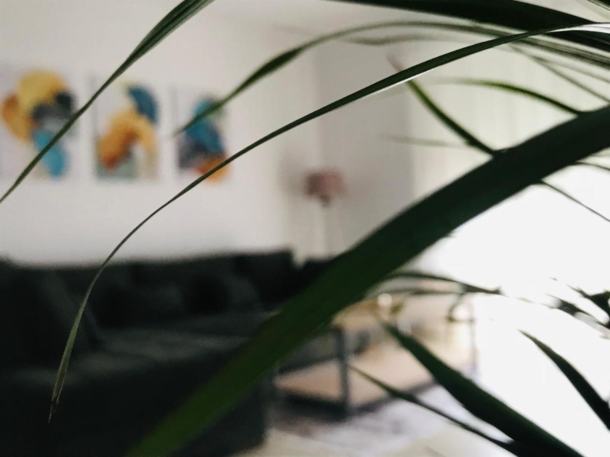 Blue Apartment *